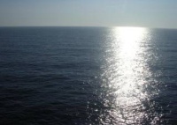 Free Image Hosting at www.ImageShack.us